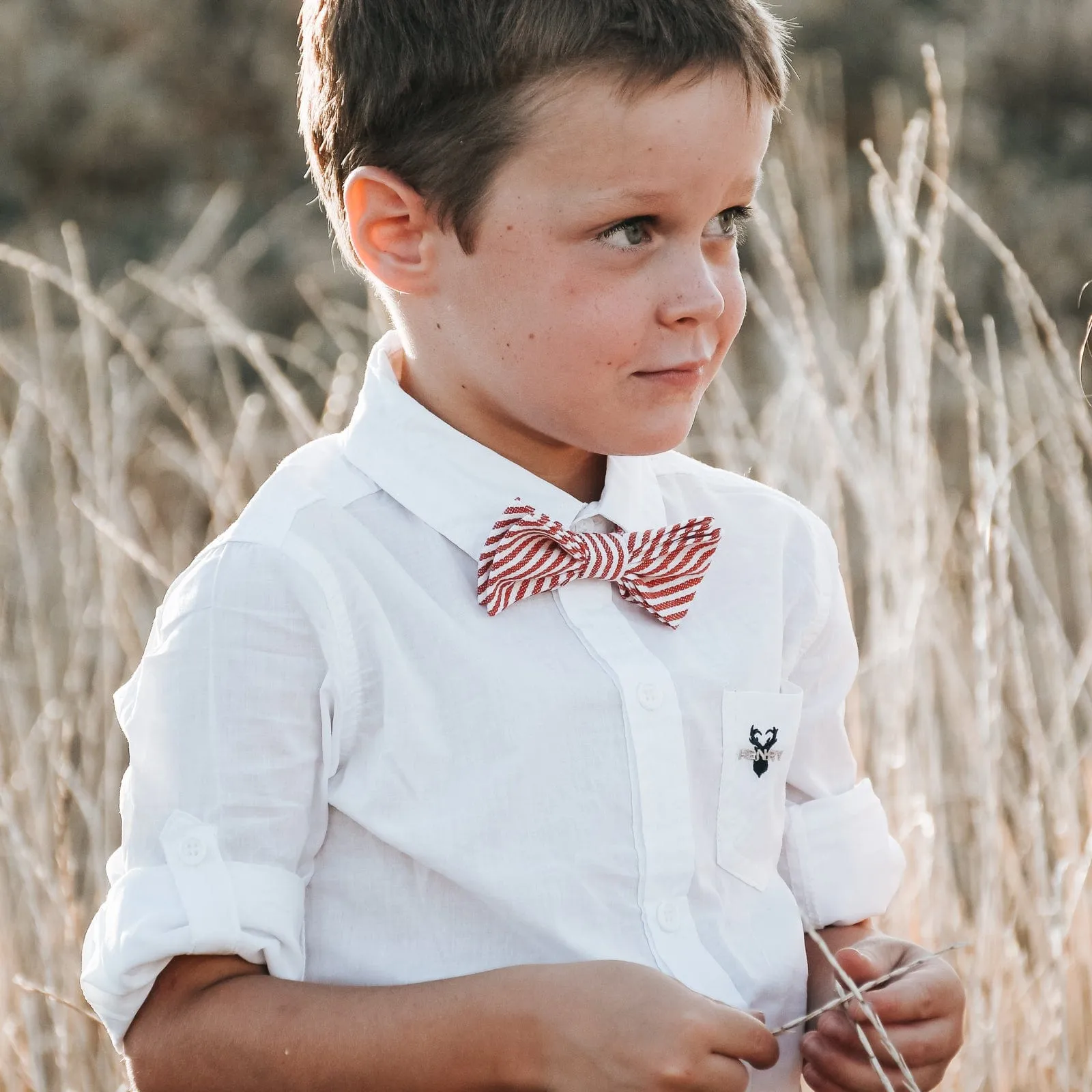Boys Dress Shirt - White